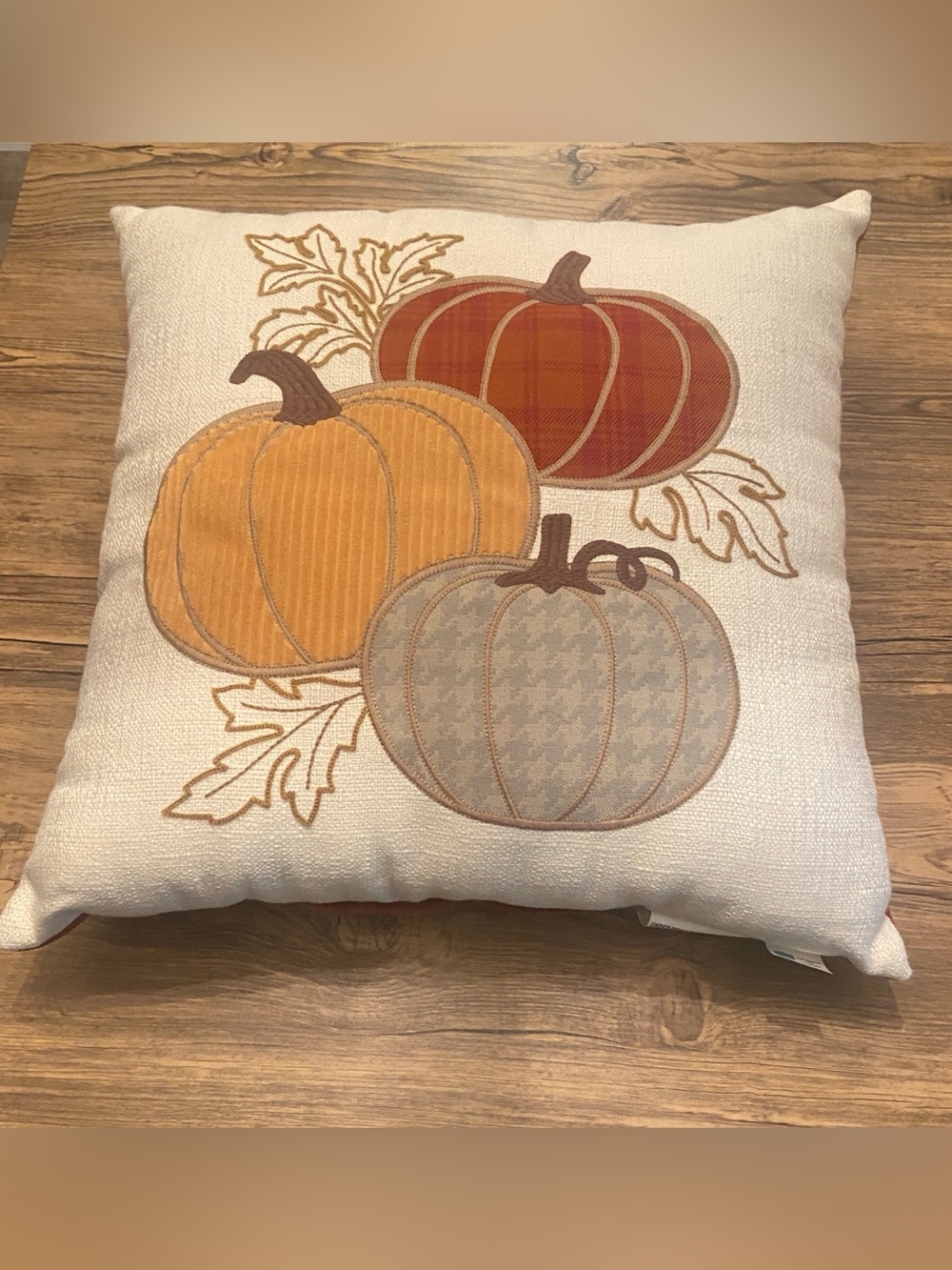 Costco Scottish Harvest Fall Throw Pillows – Set of 2 Pumpkin Decor, EUC
